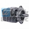 IGP-5-125，IGP-5-160，IGP-5-200 ，IGP-5-250 ，內嚙合齒輪泵