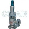 A40Y-64C，A40Y-64I，A40Y-100C，A40Y-100I，帶封閉散熱器彈簧全啟式安全閥