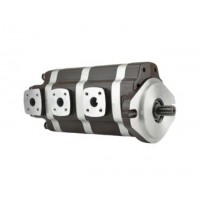 G5-25-20-12-08-1E13S-20L，G5-12-8-6-AH15S-20-L，G5-8-8-10-1E13S-20R,G5-25-10-10-1E13S-20R，多聯(lián)高壓齒輪泵